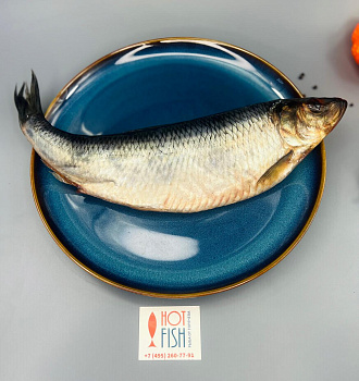 Сельдь олюторская HOT FISH, слабосолёная, отборная (~500г)