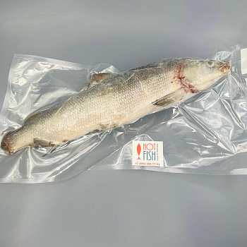 Муксун неразделанный,  (~1кг)