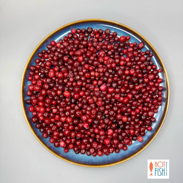 photo_5296680405782174613_y