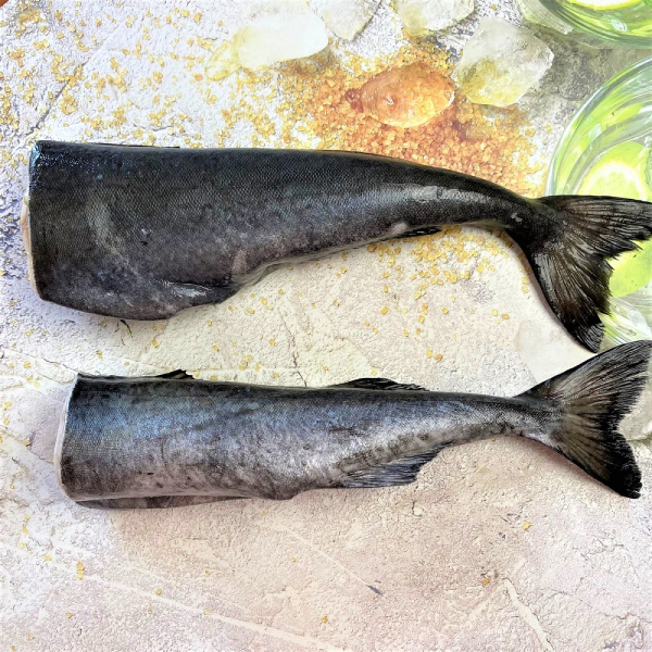 угольная 111