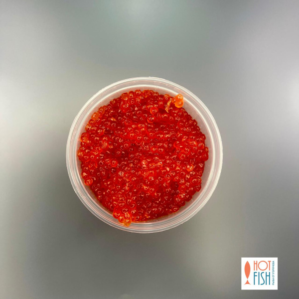 WhatsApp Image 2025-09-29 at 17.51.44