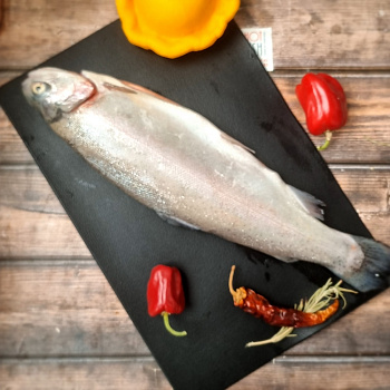 Форель радужная с головой, потрошеная,(~2+ кг) Карелия