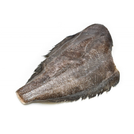paltus_1_0-800x800