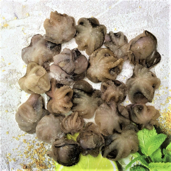 осьминоги1