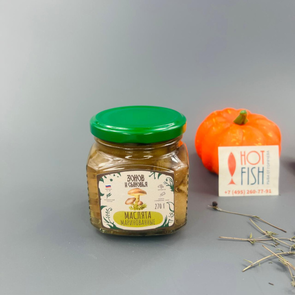 WhatsApp Image 2025-06-25 at 11.56.36