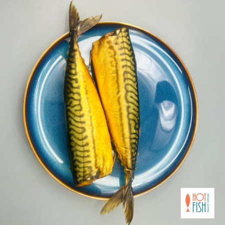 WhatsApp Image 2025-08-27 at 17.36.40