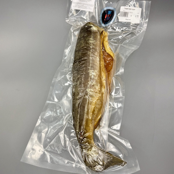 photo_5280859094883440152_y