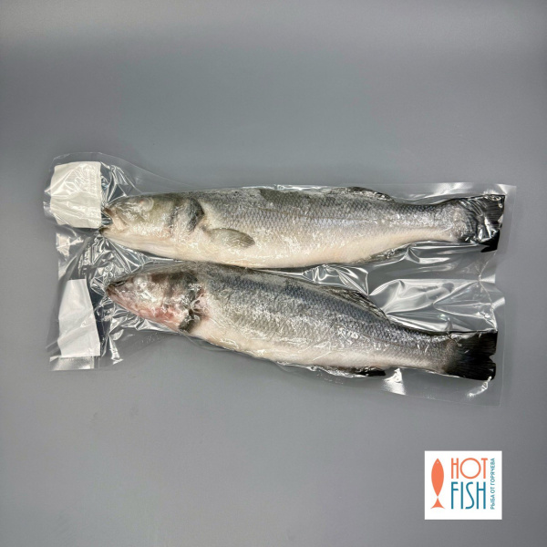 photo_5427188278470840132_y