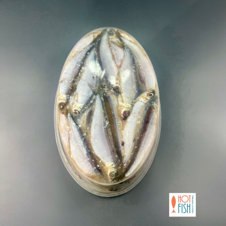 WhatsApp Image 2025-10-14 at 14.36.27 (3)