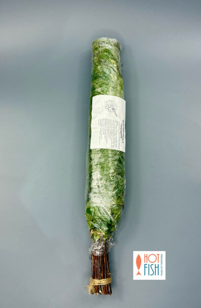 photo_5460921995290677756_y