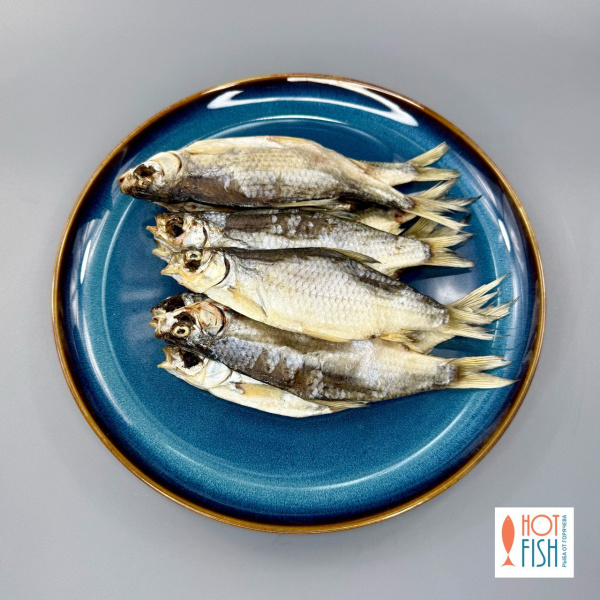 photo_5280859094883440068_y