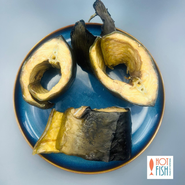 WhatsApp Image 2025-10-03 at 17.51.07