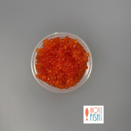 photo_5314632222323183374_y