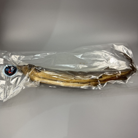 photo_5444912199752159788_y