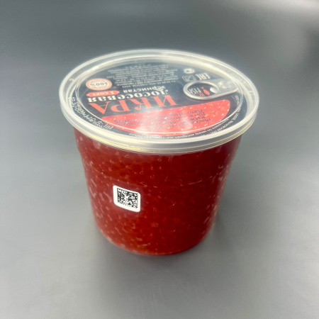 WhatsApp Image 2025-11-12 at 14.39.05