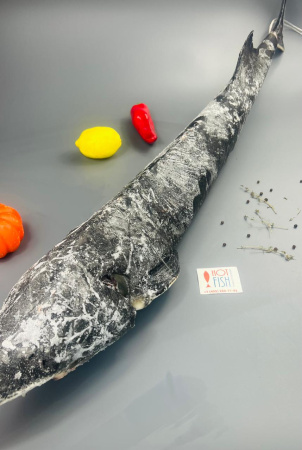 WhatsApp Image 2025-06-02 at 17.15.24