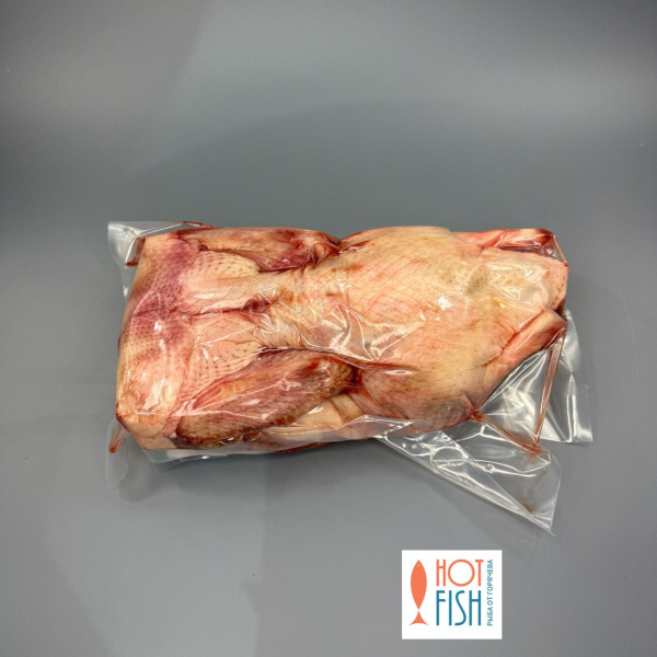 photo_5199964403770527256_y