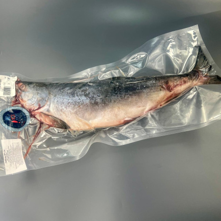 WhatsApp Image 2025-10-24 at 17.14.52 (1)