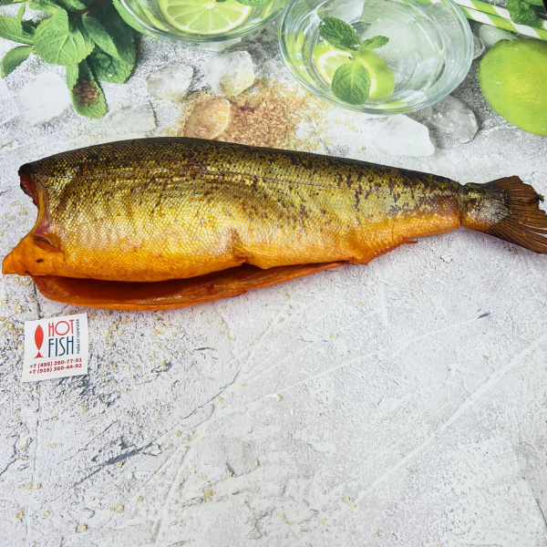 Кета холодного коп.